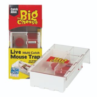 Big Cheese Živolovná past na myši STV162