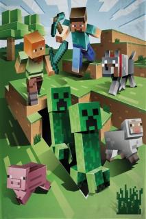 Fleece deka Minecraft Farma  Polyester, 100x150 cm
