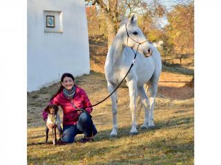 Seznámení psa s koněm Mangem