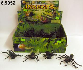 Hmyz - čtyři druhy druh: pavouk