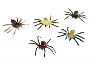 Pavouci - 5ks druh: A