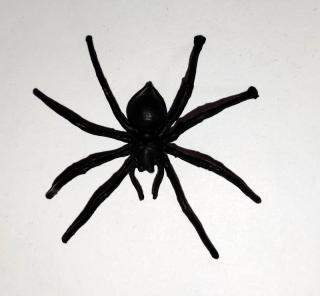 Pavouk 7 x 7cm