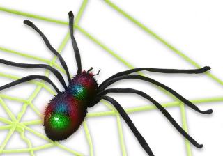 Pavouk s velkou pavučinou Barva: neonově zelená