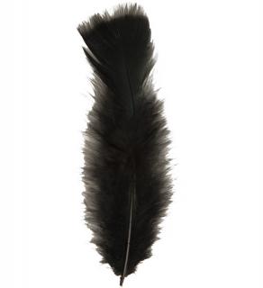 Peříčko barevné - 10cm Barva: černá