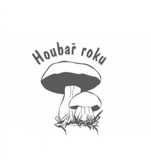 HOUBAŘ ROKU pískování obrázku (Pískování obrázku na sklo z naší nabídky)