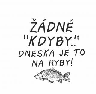 ŽÁDNÉ KDYBY pískování obrázku (Pískování obrázku na sklo z naší nabídky)