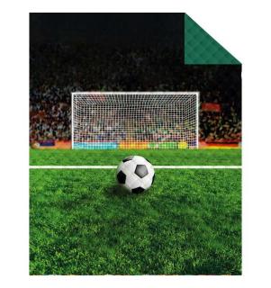 DETEXPOL Přehoz na postel Fotbalová branka  Polyester, 170/210 cm