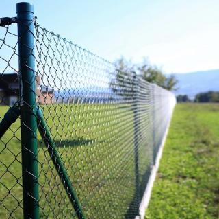 Pletivo čtyřhranné Zn+PVC 50x50/2,5/1250 zelené ND (včetně napínacího drátu, RAL 6005)
