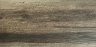 Keramická dlažba - obklad FOREST Ash 30x60 cm imitace dřeva