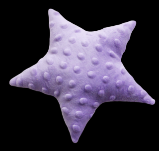 Mini hvězdička Minky fialová