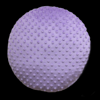 Minky polštář  kulatý fialový 35 cm