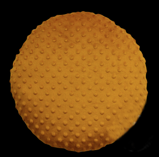 Minky polštář  kulatý tmavě hořčicový 35 cm
