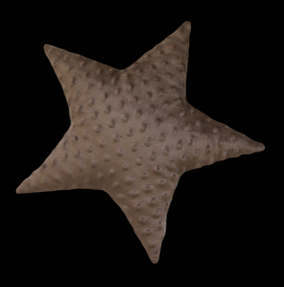 Polštářek hvězdička minky středně hnědá-36 cm