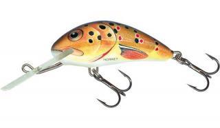 Salmo Wobler Hornet Floating 5,5cm/10,5g - Brown Holographic Trout