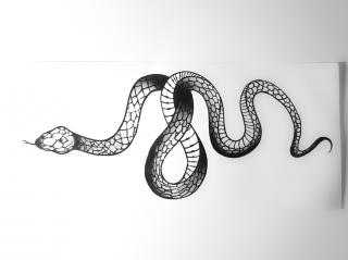 Tattoo Sticker - Snake