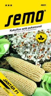 Kukuřice Pukancová JANTÁR F1