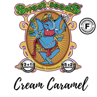 Výprodej Cream Caramel® Počet ks Feminizované: 25