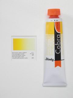 Olejová barva COBRA H2Oil 40 ml - Permanent yellow medium 284