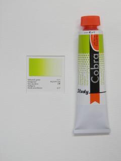 Olejová barva COBRA H2Oil 40 ml - Yellowish green 617