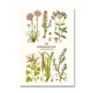 Skicák - náčrtník A5 Herbarium 2