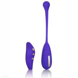 CalExotics Impulse Estim Remote Kegel Exerciser