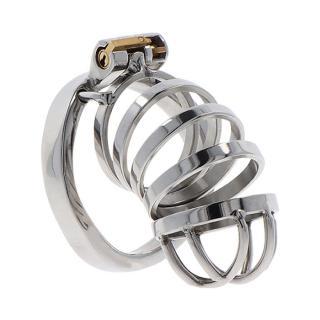 Hidden Desire Extreme Chastity Cock Cage Metal