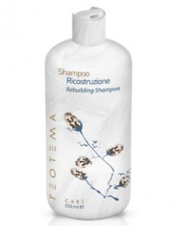 Teotema Rebuilding Šampon regenerační pro poškozené vlasy +keratin 1000ml