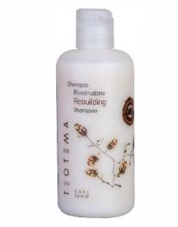 Teotema Rebuilding Šampon regenerační pro poškozené vlasy +keratin 250ml