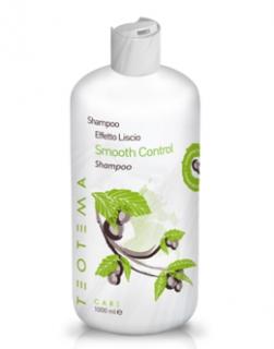 Teotema Smooth Control Šampon pro vyrovnání nepoddajných vlasů 1000ml