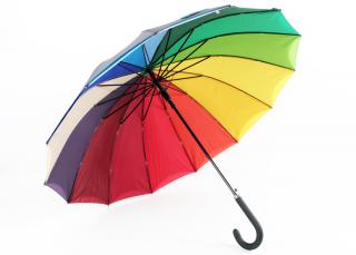 Dámský holový deštník Doubleface Barvy: Černá