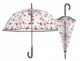 Průhledný deštník PVC - Berušky
