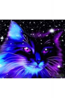 Diamantové obrázky 30x40cm Noční kočka