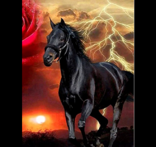 Diamantové obrázky 40x30cm Černý kůň