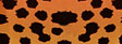 Motiv karton - Gepard oranžový 300g Velikost: 25 x 35 cm