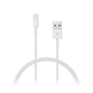 Apple kabel Lightning 2m bílý