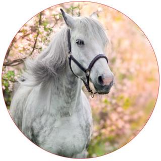 Obrázek Jedlý papír Hlava bílého koně