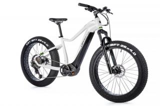 FAT E-BIKE Leader Fox BRASA, 2023-1 Velikost: 18