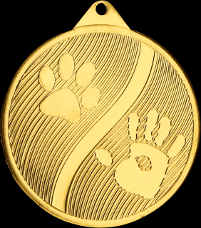 Medaile TLAPKA MMC20050 Barva medaile: zlatá