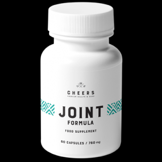 Cheers Joint Formula 60 tablet
