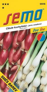 Cibule kuchyňská jarní svazková 2 g - série DUO