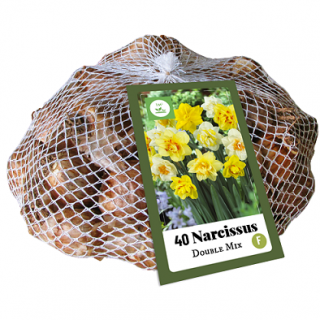 Narcis Double Mix XXL balení