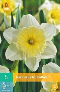 Narcis Ice Follies (Large Cupped)