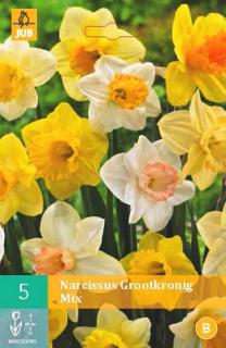 Narcis Large Cupped Mix (Large Cupped)