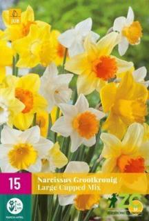 Narcis - Large Cupped Mix XXL