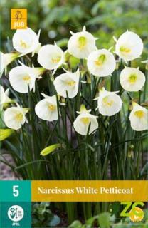 Narcis White Petticoat (Botanical)