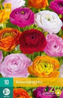 Pryskyřník Mix (Ranunculus)