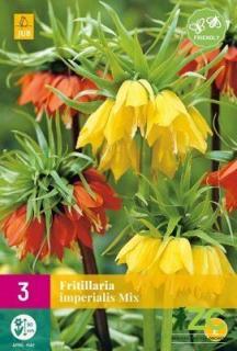Řepčík Fritillaria Imp. Mix XXL