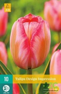Tulipán Design Impression (Darwin Hybrid)
