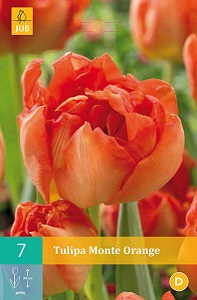 Tulipán Monte Orange (Plnokvětý raný)