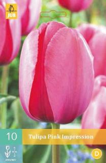 Tulipán Pink Impression (Darwin Hybrid)